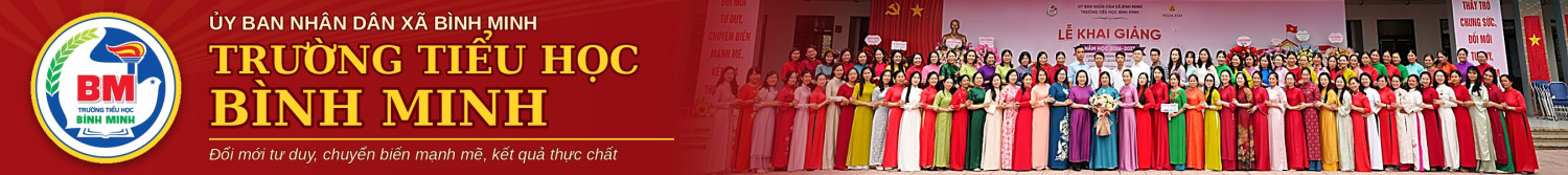 TIỂU HỌC BÌNH MINH